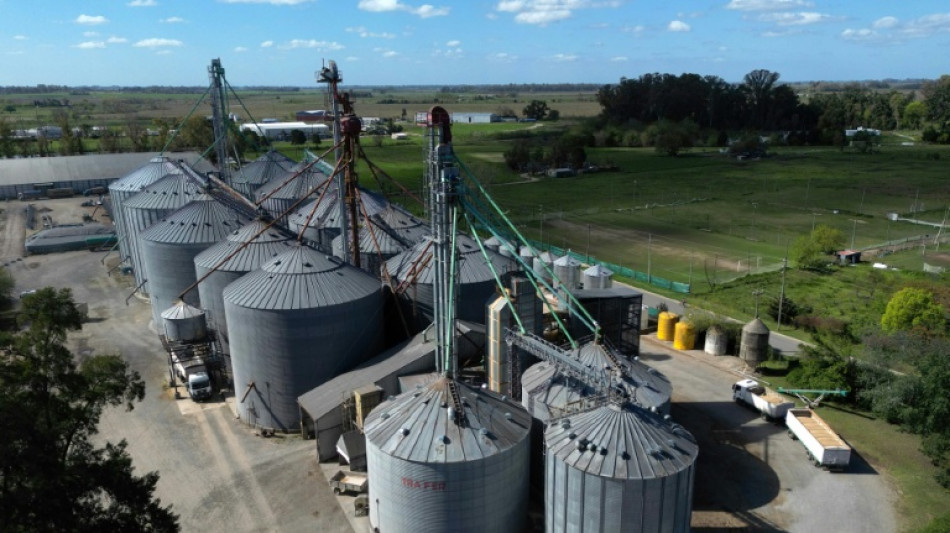 In Argentine farm town, Milei mania fizzles