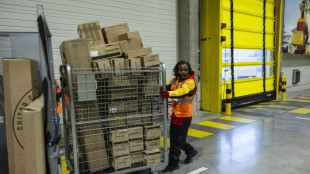 Importations: un rapport parlementaire d&eacute;nonce des contr&ocirc;les "d&eacute;risoires" et des fraudes massives