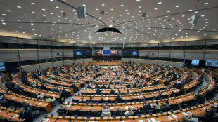 El Parlamento Europeo est&aacute; dispuesto a retomar el examen del acuerdo comercial con EEUU