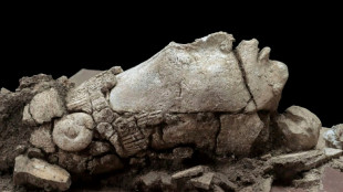 Arqueólogos mexicanos descubren cabeza del joven dios del maíz