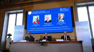 Trio wins physics Nobel for quantum mechanical tunnelling