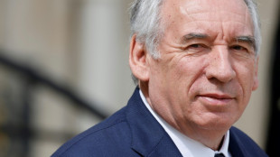 Les Français favorables à l'organisation d'un referendum, proposée par Bayrou (sondage)