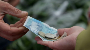 Igel oder Eule statt Churchill: Neue Pfund-Scheine zeigen k&uuml;nftig Tiermotive
