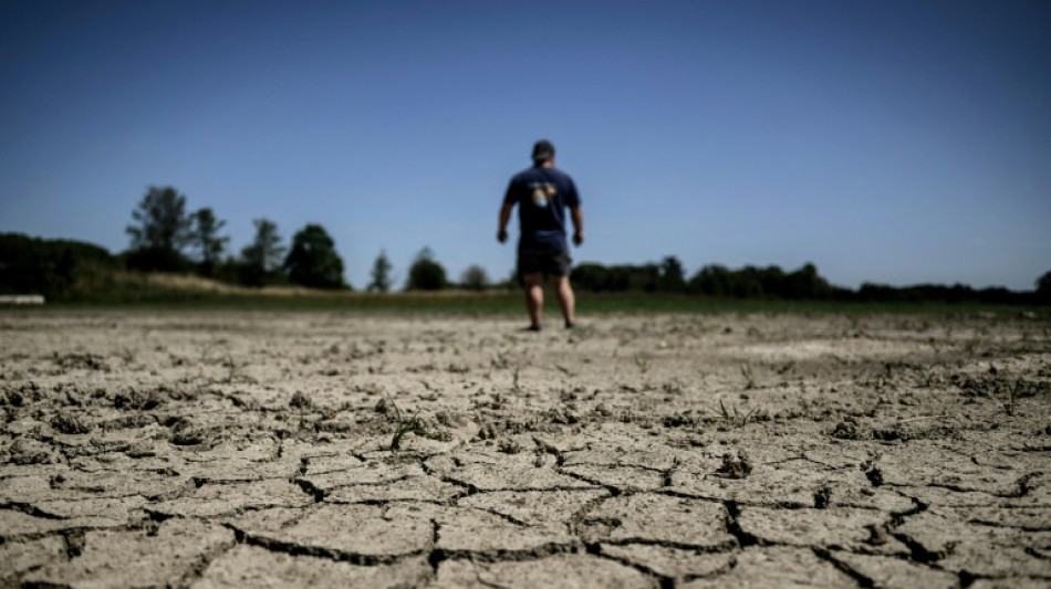 French pair propose new term to define 'environment'