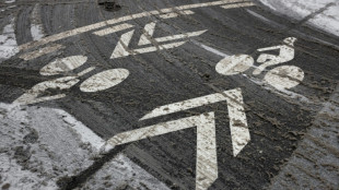 Municipales: en six ans, le v&eacute;lo s'est trouv&eacute; des ailes 