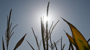 Siccit&agrave;, costi triplicati per l'Italia con 2 gradi in pi&ugrave;