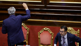 Tajani a Salvini, FI non accetta calunnie e insulti su Salis