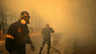 Waldbr&auml;nde in Griechenland fressen sich weiter fort - Flammenmeer westlich von Athen