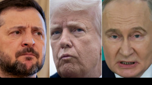 Zelensky tells EU to keep pressure on Russia ahead of new talks