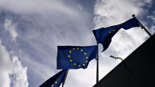 Befragung ohne Rechtsanwalt: Europ&auml;ischer Gerichtshof r&uuml;gt Tschechien und Ungarn