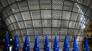 Climat: divisée, l'UE essaye de ne pas arriver les mains vides à la COP de Bélem