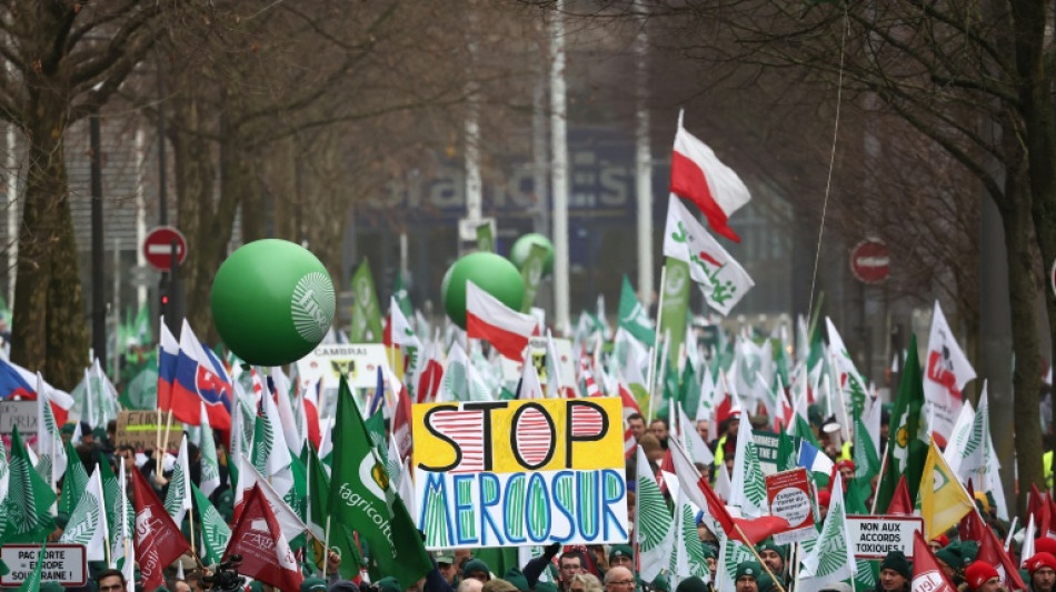 EU-Parlament ruft wegen Mercosur-Abkommen den EuGH an