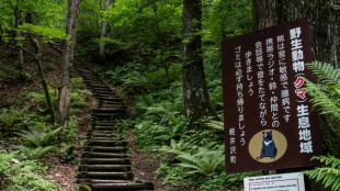 Un gobernador japonés pide ayuda militar ante los ataques de osos