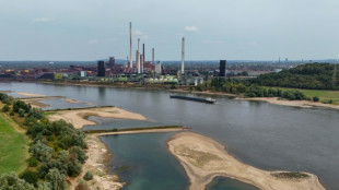 Aussetzung von Lkw-Fahrverbot: BUND kritisiert Ma&szlig;nahme - Industrie begr&uuml;&szlig;t sie