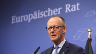 Merz, 'in un modo o nell'altro l'Ucraina sarà finanziata'