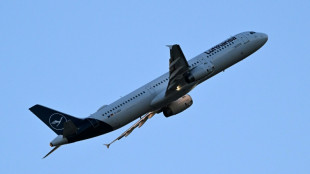 Einigung auf niedrigere Flugticketsteuer: Kritik von Umweltschützern, Lob aus Wirtschaft