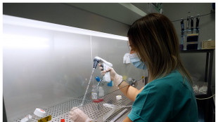 Verso vaccini-jolly e terapie del futuro, con la biologia sintetica