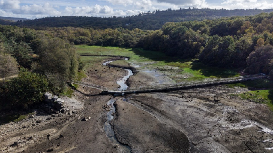 En plein automne, la Bretagne "&agrave; deux doigts de la rupture" en eau potable