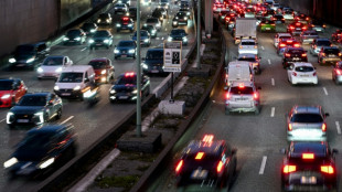 "Fraudes massives" aux cartes grises, la Cour des comptes appelle &agrave; une "reprise en main"