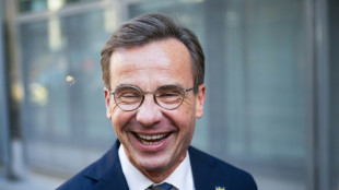 Sweden's outgoing PM wants to 'make Sweden great again'
