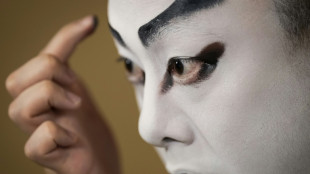 'Dancing in their hands': Japan wig masters set stage alive 