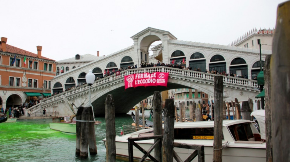 Le Grand Canal de Venise teint en vert par des militants &eacute;cologistes
