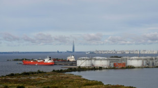 Los ministros del G7 perseguir&aacute;n a los que aumentan compras de petr&oacute;leo a Rusia