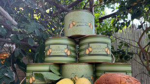 Cresce consumo panettone a Ferragosto, pdl per Festa nazionale il 24 luglio