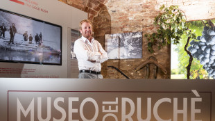 Il Ruch&egrave; di Ferraris ha conservato la Vigna del Parroco nel Monferrato