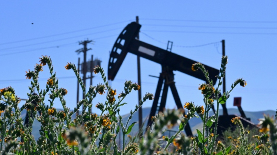 Crude plunges, stocks rally as Trump says war 'pretty much' complete