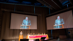 Vino, nel 2025 fatturato a 213 milioni di euro per il Gruppo Mezzacorona