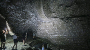 Gr&egrave;ce: d&eacute;couverte d'une toile g&eacute;ante avec 111.000 araign&eacute;es dans une grotte