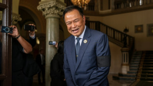 Nach Wahlsieg: Thail&auml;ndischer Regierungschef bereitet sich auf Koalitionsverhandlungen vor