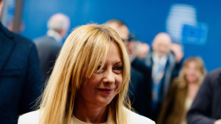 Meloni al palazzo presidenziale algerino, al via l'incontro con Tebboune