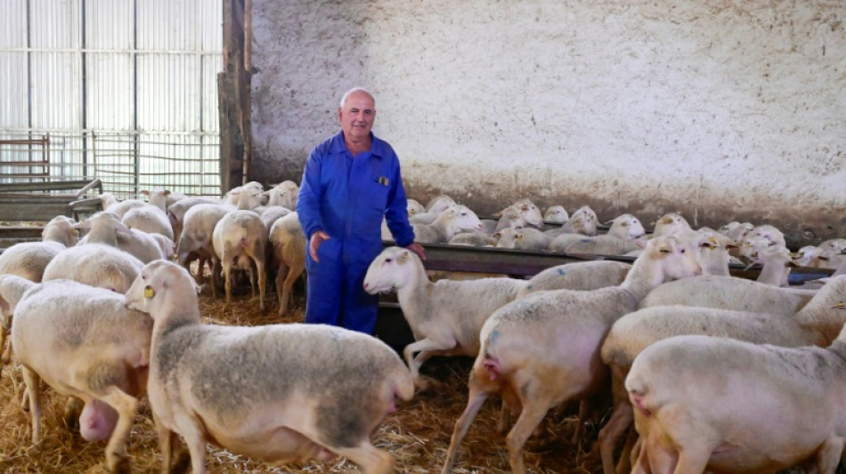 Far right harvests votes as climate rules roil rural Spain