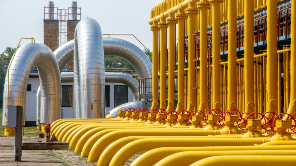 EU-Kommission genehmigt Reiches Pl&auml;ne f&uuml;r neue Gaskraftwerke