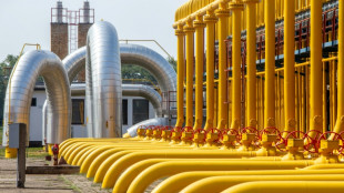 Mehrheit der EU-Länder für Ausstieg aus russischem Gas bis Ende 2027