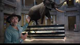 'Ghost Elephants', gli elefanti perduti di Werner Herzog su Disney+