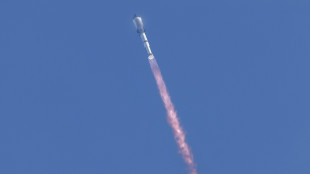 Concluso con successo l'ultimo test di Starship