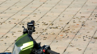 Familiares del narco mexicano Ovidio Guzmán cruzaron a EEUU por la negociación con las autoridades