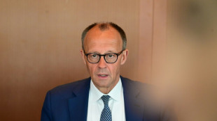 Aufstellung neuer Brigade in Litauen: Merz mit milit&auml;rischen Ehren in Vilnius empfangen