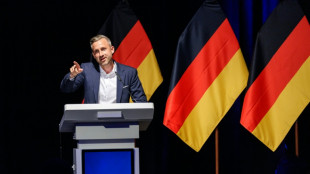 R&uuml;stungsg&uuml;ter f&uuml;r "Abschiebeoffensiven": AfD-Politiker Siegmund l&ouml;st Emp&ouml;rung aus