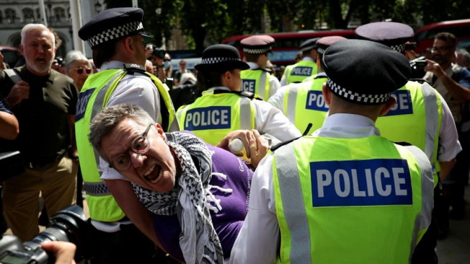 Mehr als 470 Festnahmen bei Protest für verbotene pro-palästinensische Gruppe in London