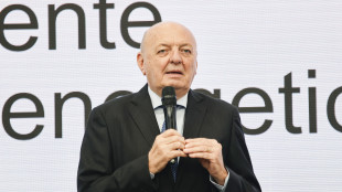 Pichetto, su metano e automotive segnali positivi dall'Europarlamento