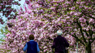 Union kritisiert neue Riester-Rente - kurz vor Entscheidung im Bundestag