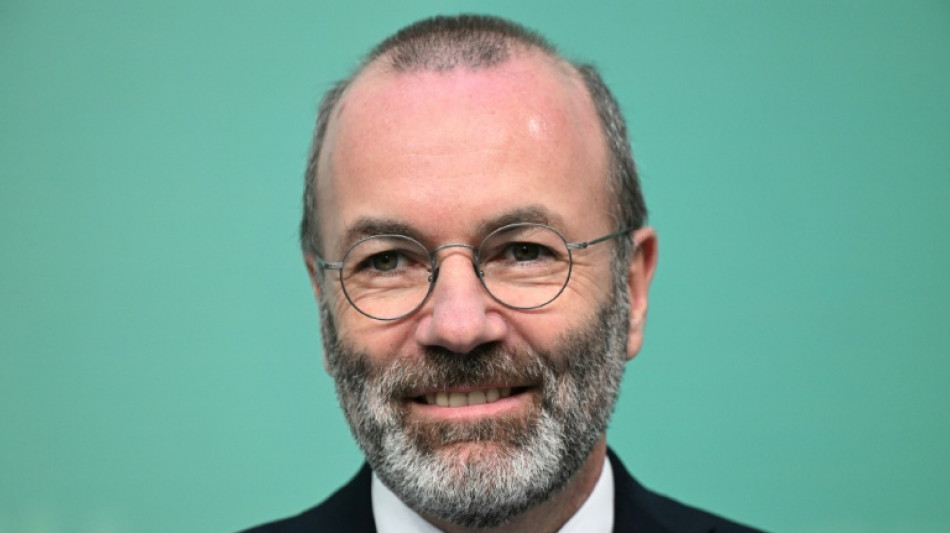 Gr&ouml;nland-Streit: EVP-Chef Weber begr&uuml;&szlig;t Zeichen der Entspannung aus Davos