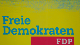 FDP-Kandidaturen: Kubicki und H&ouml;ne wollen nicht als Gegner verstanden werden