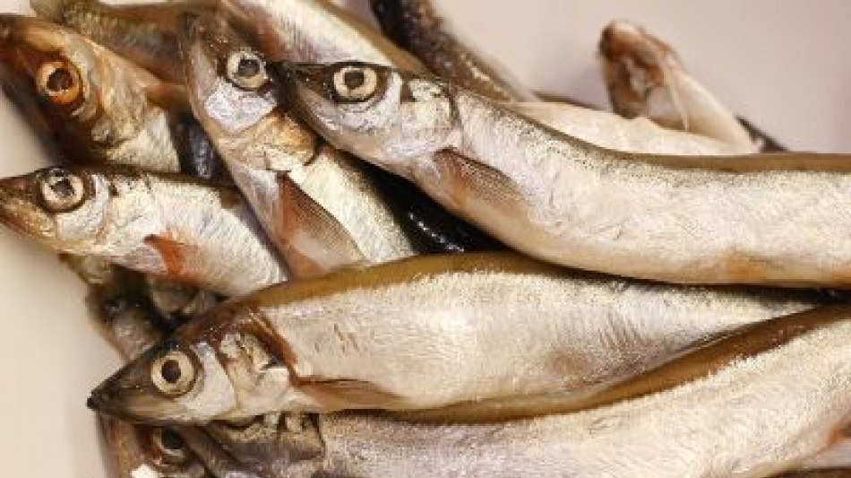 Borsa della spesa, il ciclone Harry colpisce il settore ittico