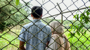 "Cárcel o muerte": deportados por Trump atrapados en Costa Rica temen volver a su país