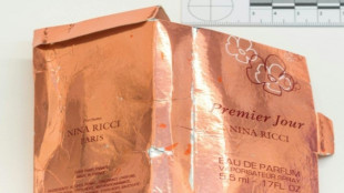 Putin tem 'responsabilidade moral' por envenenamento de brit&acirc;nica, diz investiga&ccedil;&atilde;o